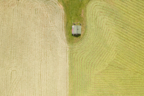 Agriculture régénératrice 