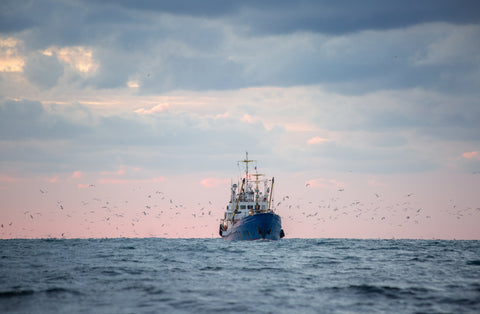 pêcheries durables 