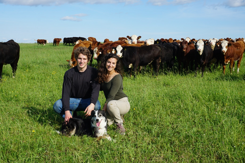 Ferme Écoboeuf